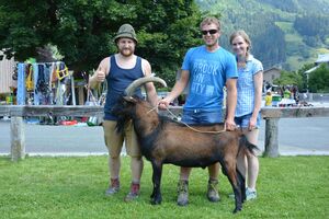 „V-Artur 8“ ging von Manuel Reisinger, Neukirchen/Altmünster (OÖ) zu Kathrin Katsch nach Goldegg