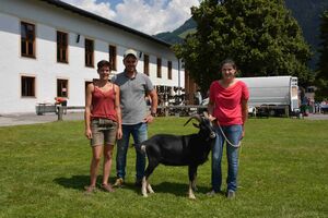 „Marvin“ wurde Roland Rainer aus Lend angekauft, gezüchtet Judith und Mario Huber, Göstling a.d. Ybbs (NÖ)