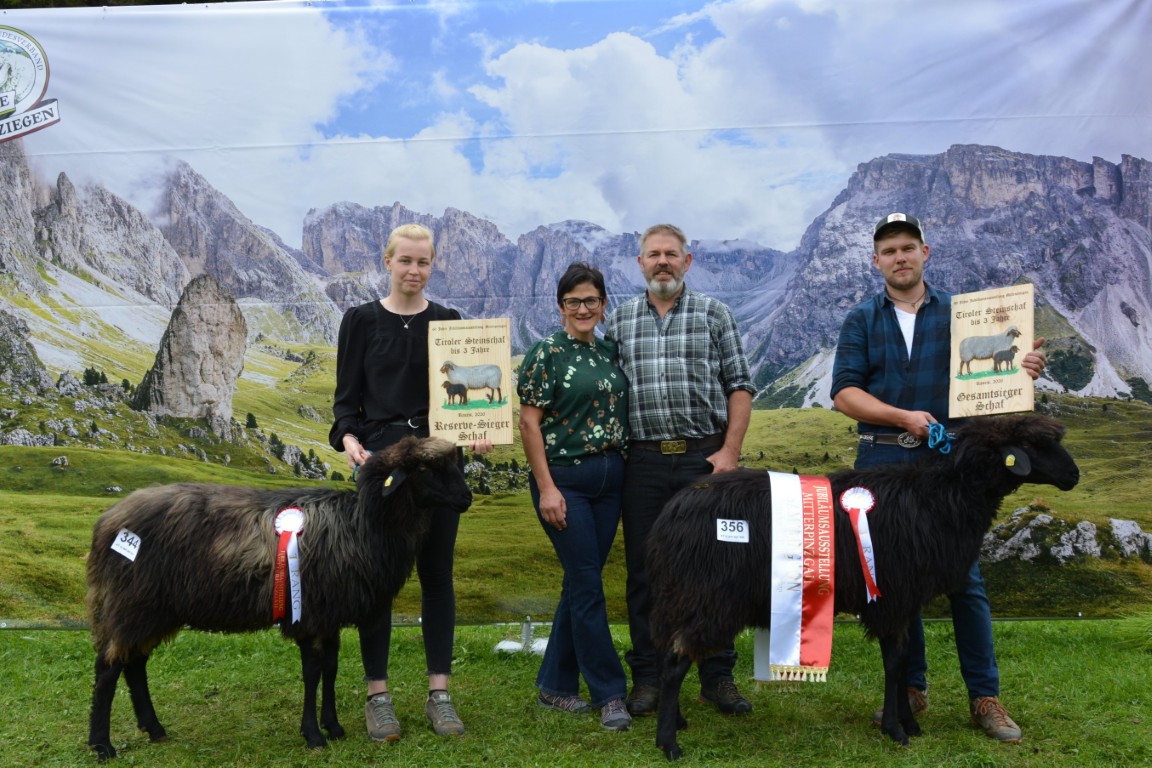 GS & RS Tiroler Steinschafe unter 3 Jahre