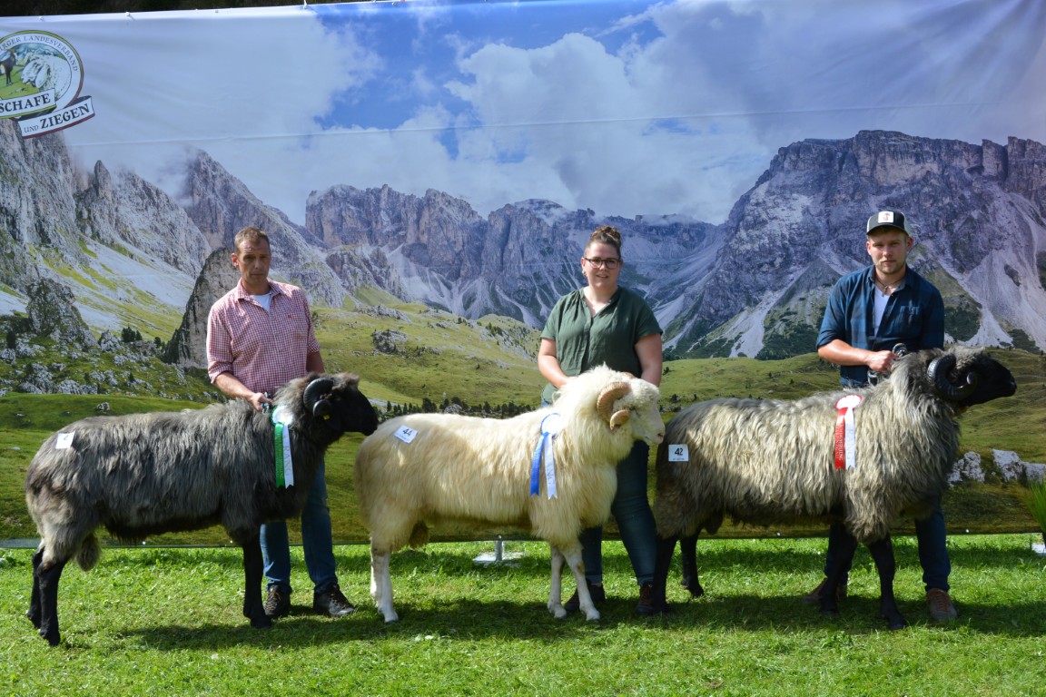 Gruppe 10