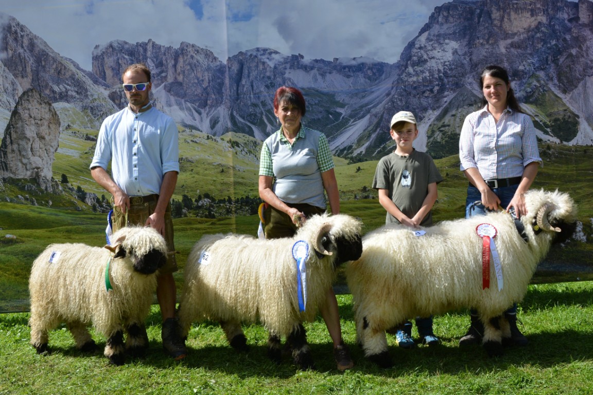 Gruppe 13