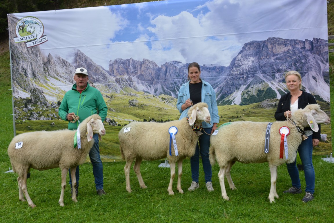 Gruppe 14