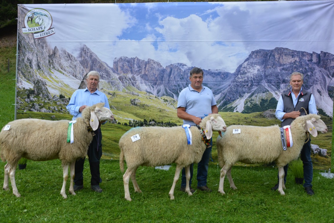 Gruppe 15