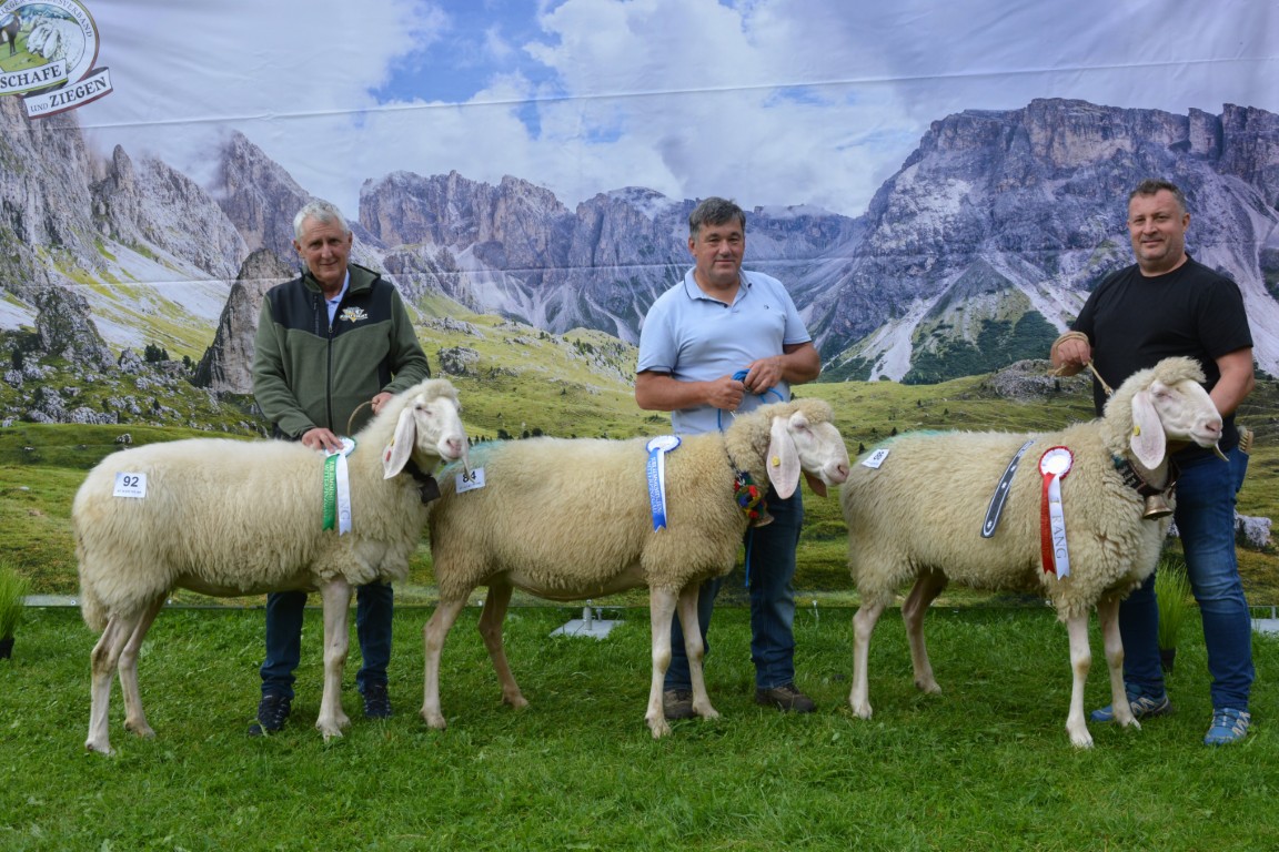 Gruppe 16