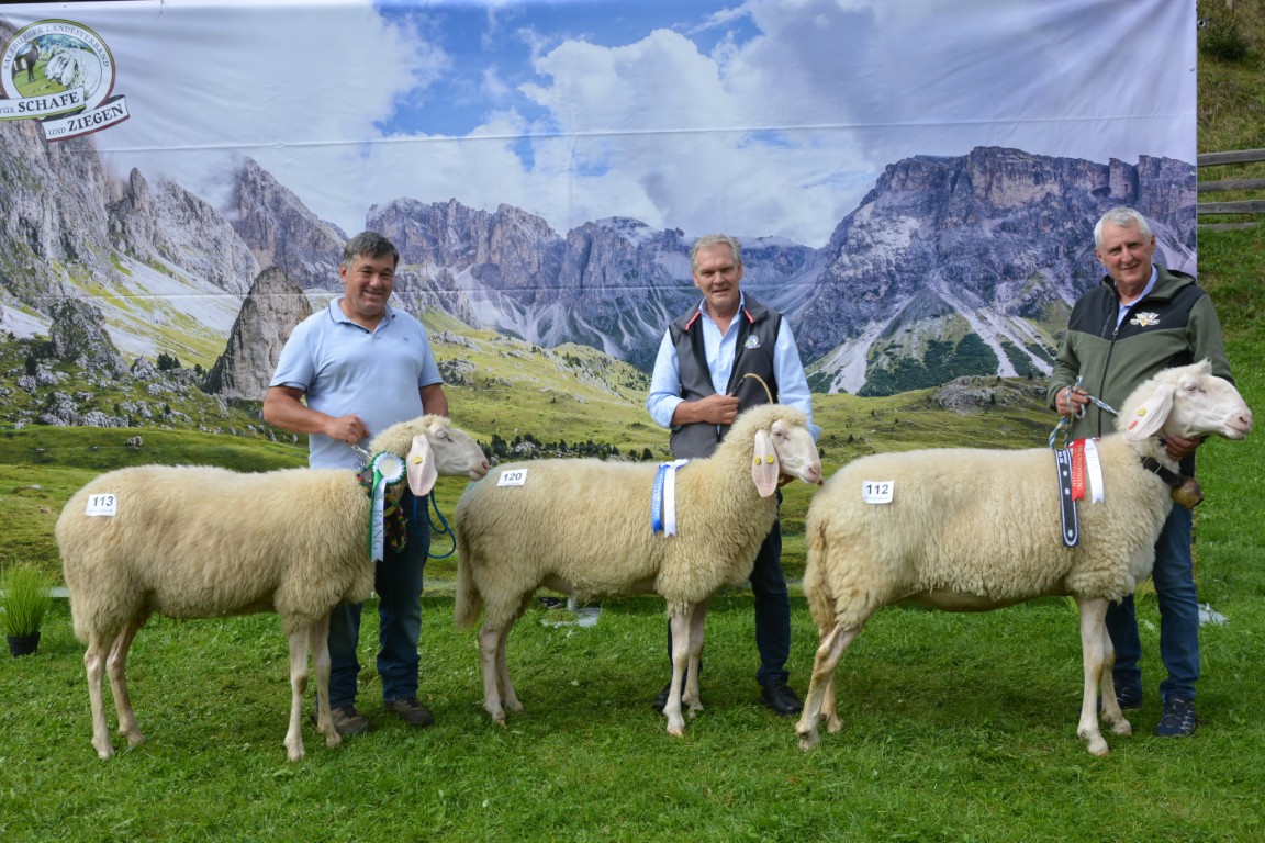 Gruppe 18
