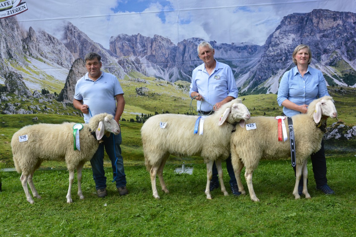 Gruppe 19