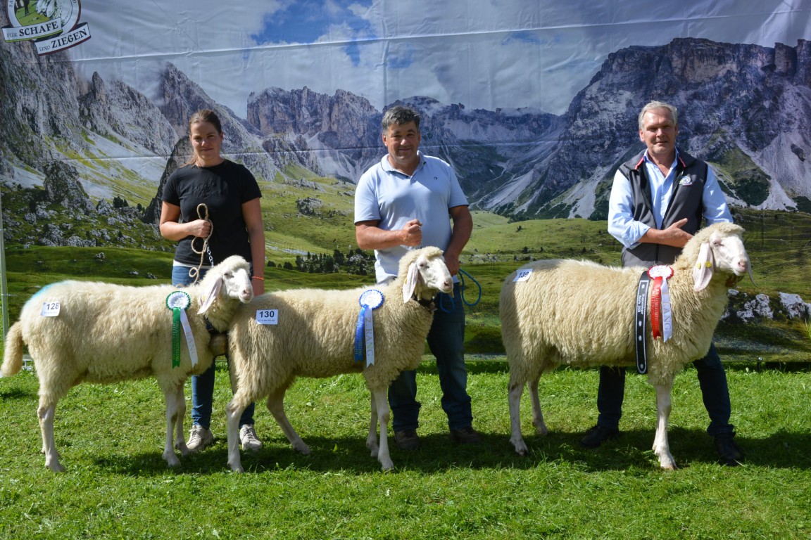 Gruppe 20