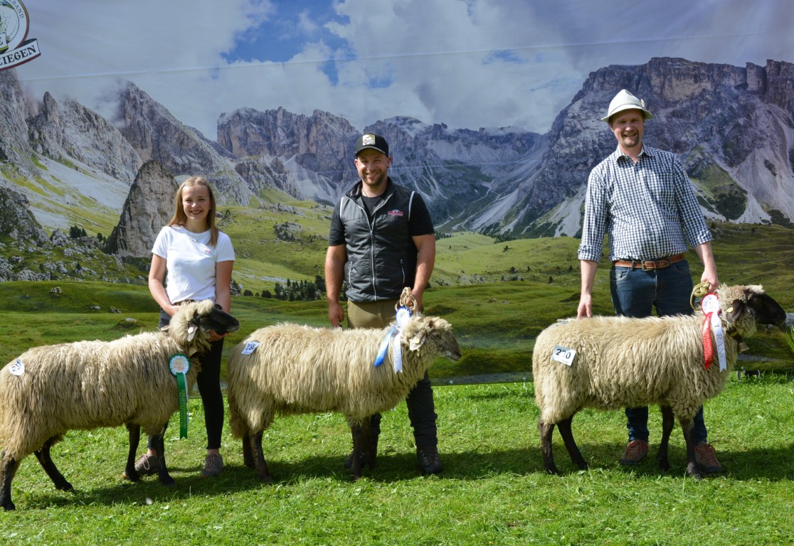 Gruppe 27a