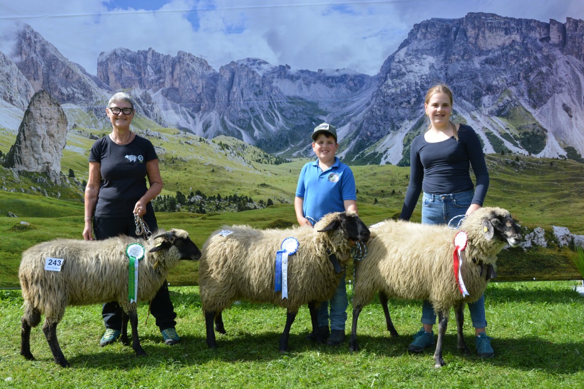 Gruppe 27b