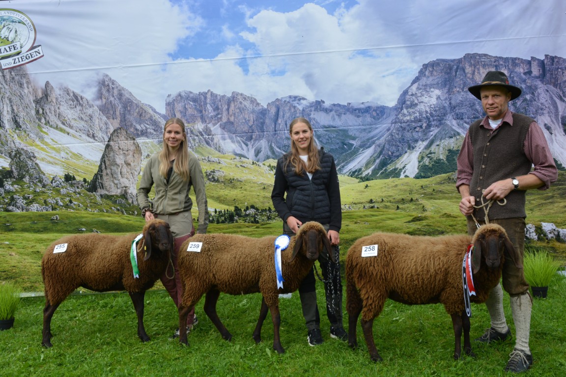 Gruppe 29