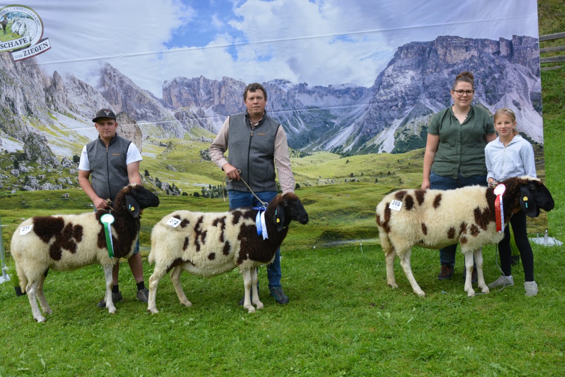 Gruppe 31