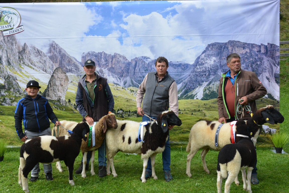 Gruppe 32