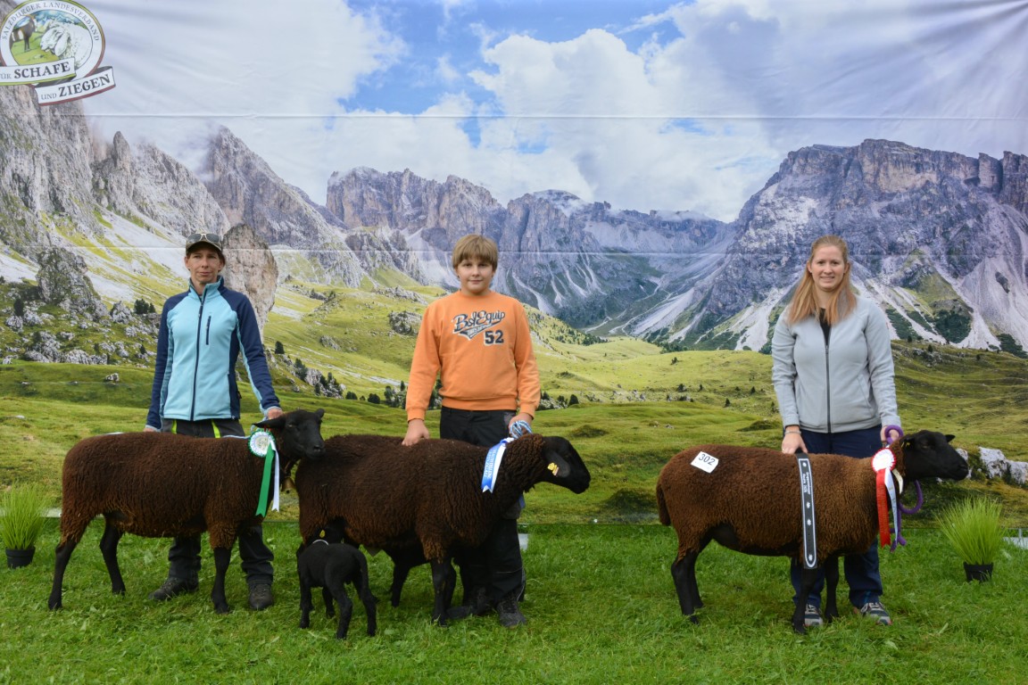 Gruppe 35