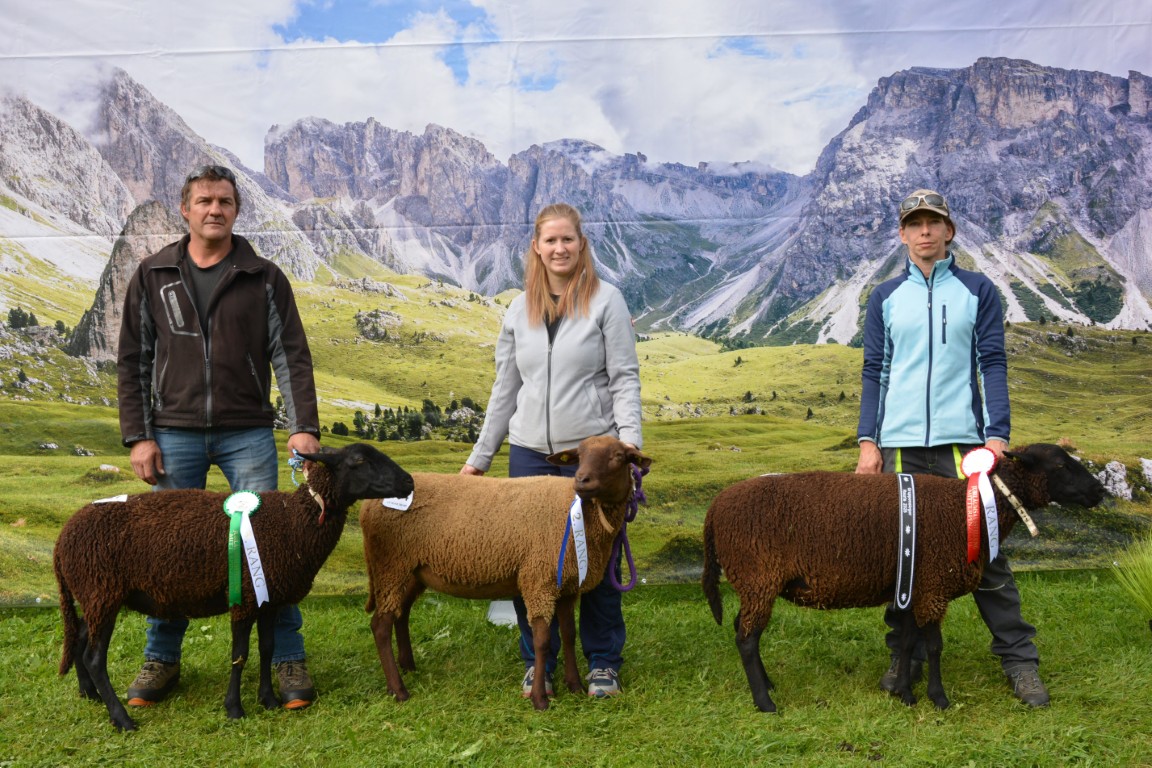 Gruppe 36