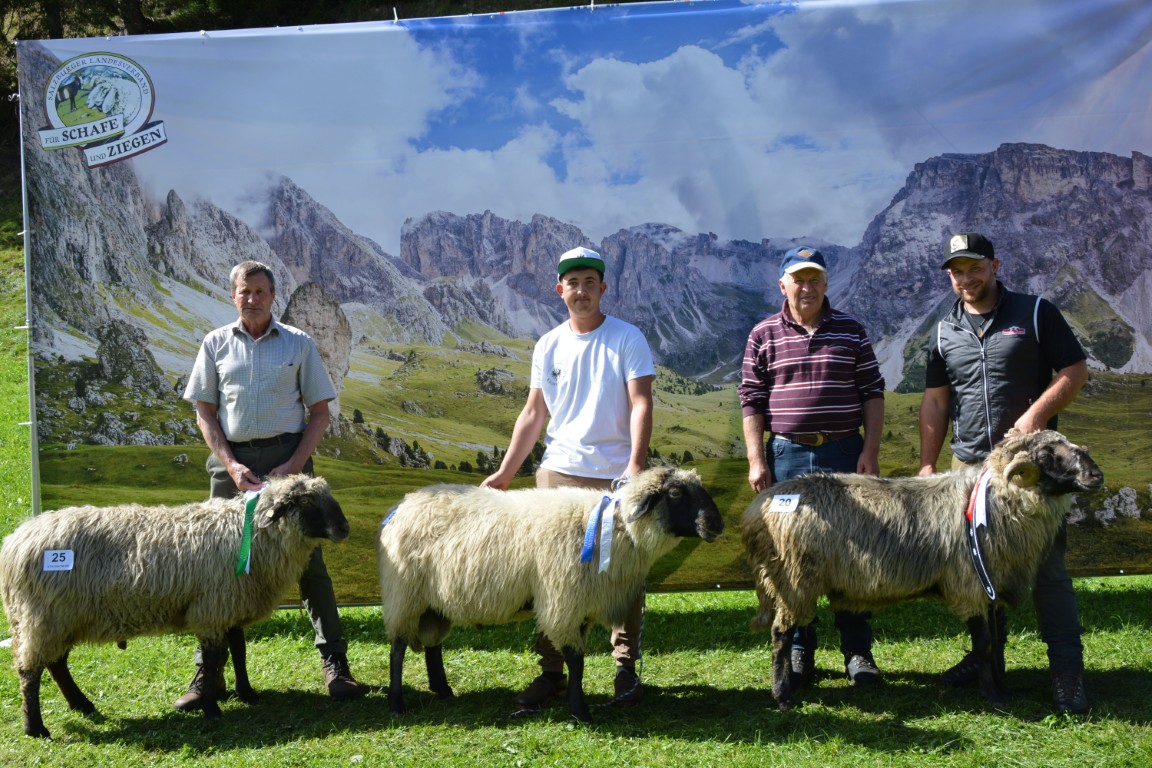 Gruppe 4