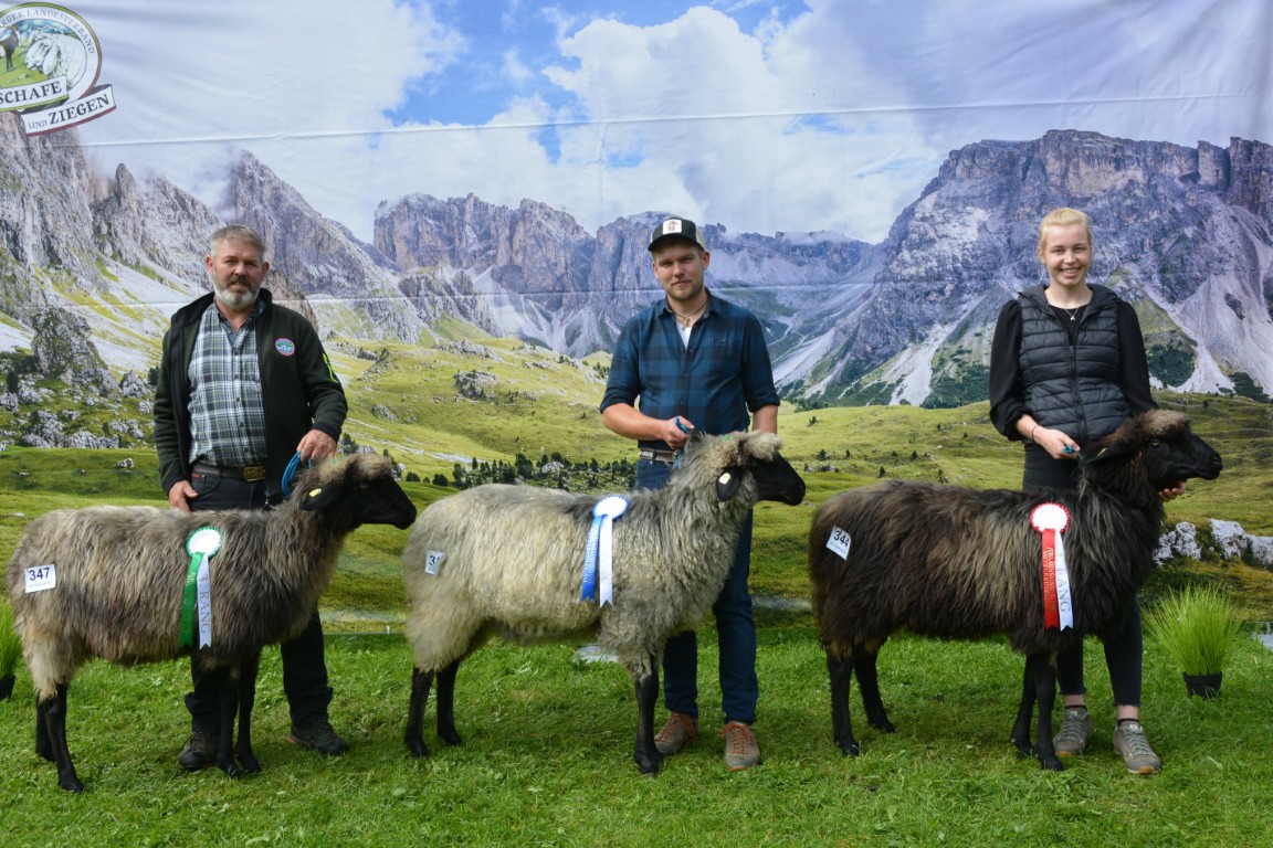 Gruppe 41