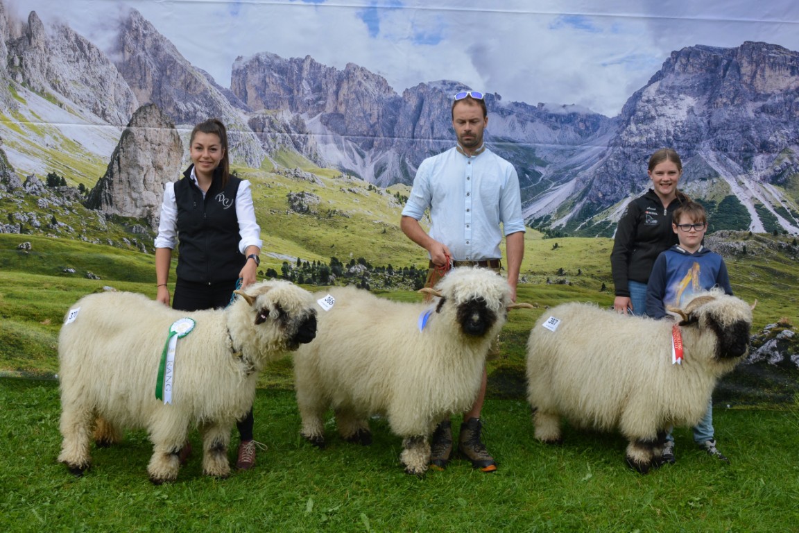Gruppe 44