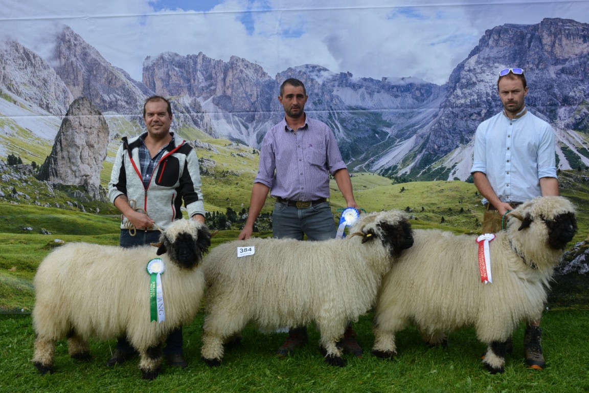 Gruppe 45