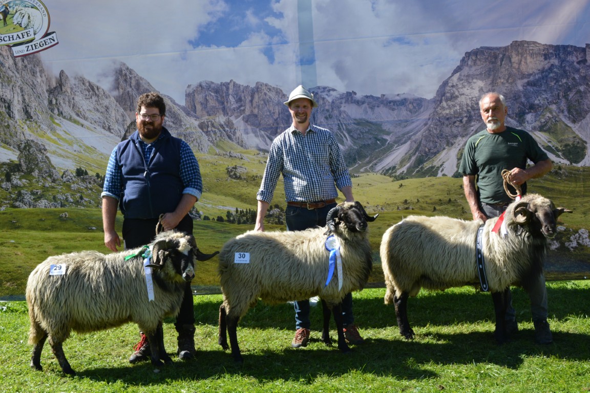 Gruppe 5