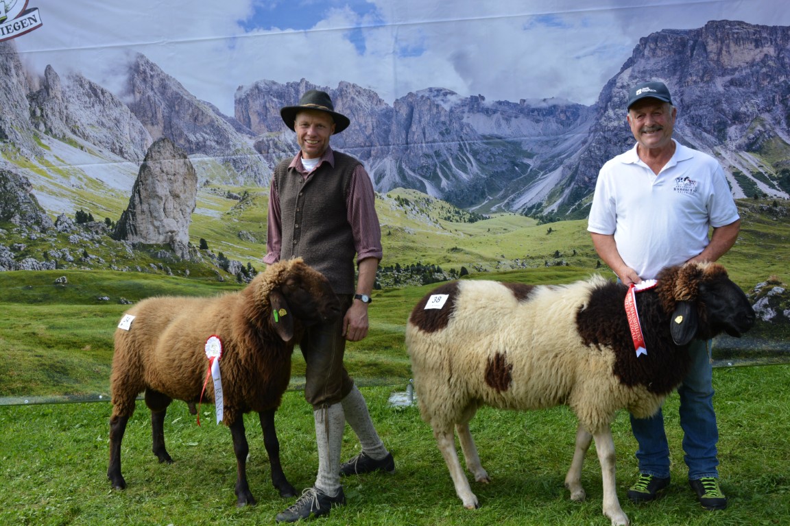 Gruppe 6 & 7